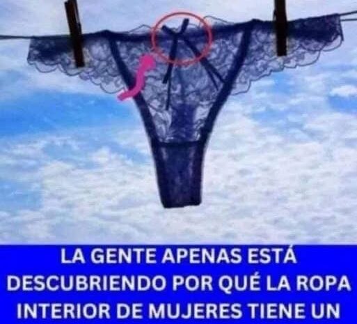 ¡Descubre el Misterio del Moño en la Ropa Interior Femenina!