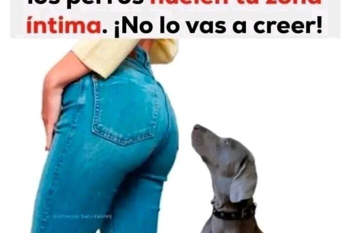 ¿Por qué los perros huelen tu zona íntima? Curiosidades sobre el comportamiento canino