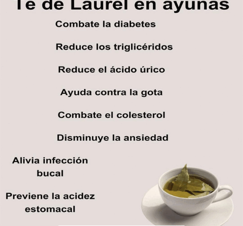 3 Cosas que Puedes Hacer con Flores de Albahaca y los Beneficios del Té de Laurel