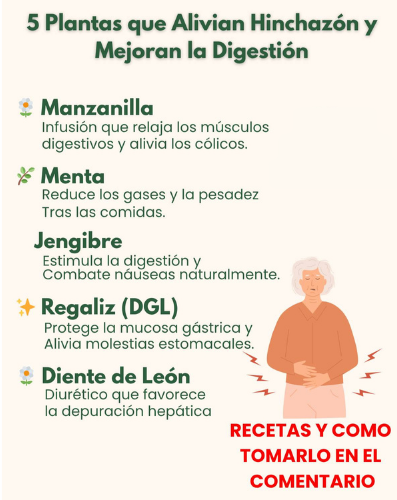 Plantas para la digestión