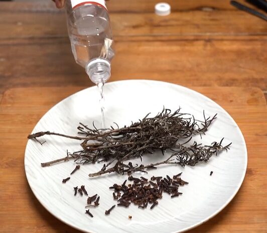Romero y Vinagre Blanco: Cambia Tu Vida con Este Poderoso Remedio Natural