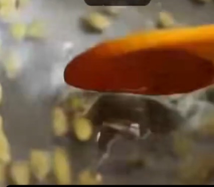 Reutiliza las Semillas de Limón: Una Receta Saludable y Natural