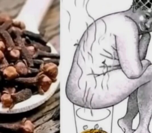 El Poder del Clavo Dulce: Desintoxicación Natural para la Mujer