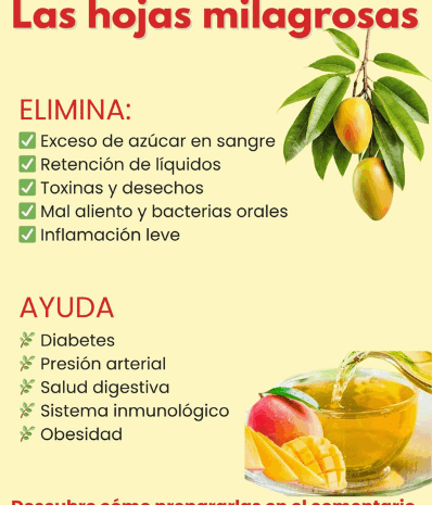 Las Hojas de Mango: Un Remedio Natural Milagroso para la Salud