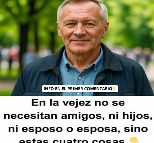 Las Verdaderas Necesidades en la Vejez: Más Allá de Relaciones Sociales