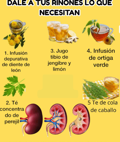 Recetas Naturales para Mejorar la Salud Renal: Infusiones y Jugos Vitales