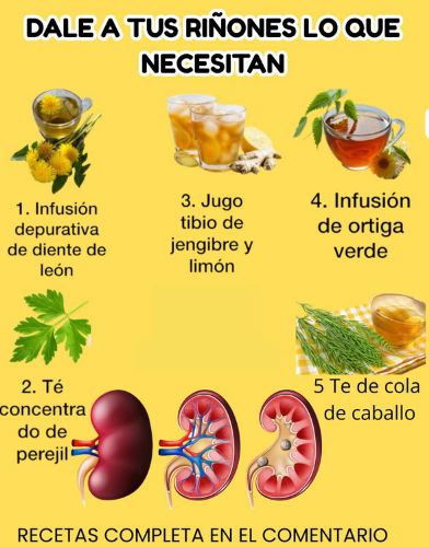 Recomendaciones para mejorar la salud renal con infusiones y jugos naturales