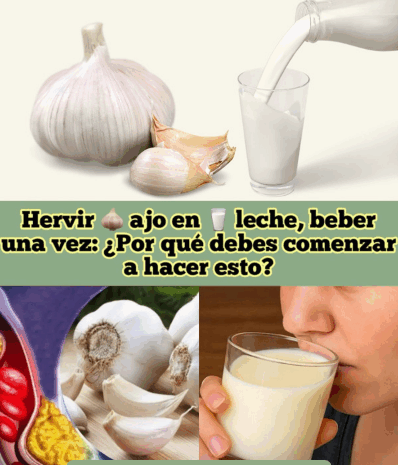 Beneficios de Hervir Ajo en Leche: Un Remedio Natural a Tu Alcance