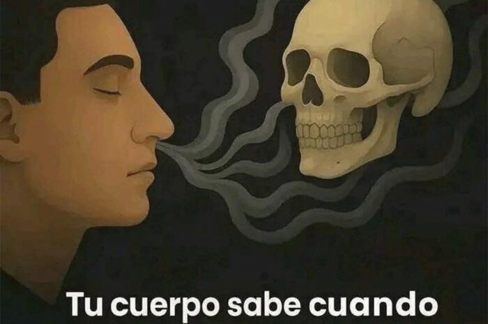 Cuando el Cuerpo Avisa: Conexión entre la Respiración y la Salud