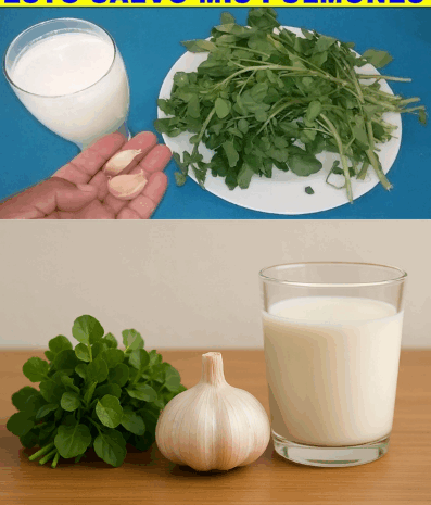 La Bebida Natural que Salvó Mis Pulmones de la Neumonía