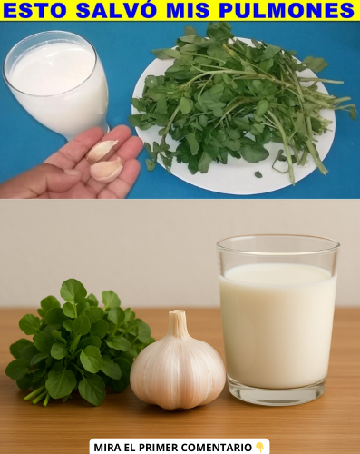 Ingredientes para la bebida que salvó mis pulmones