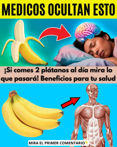 Beneficios de los plátanos en la salud