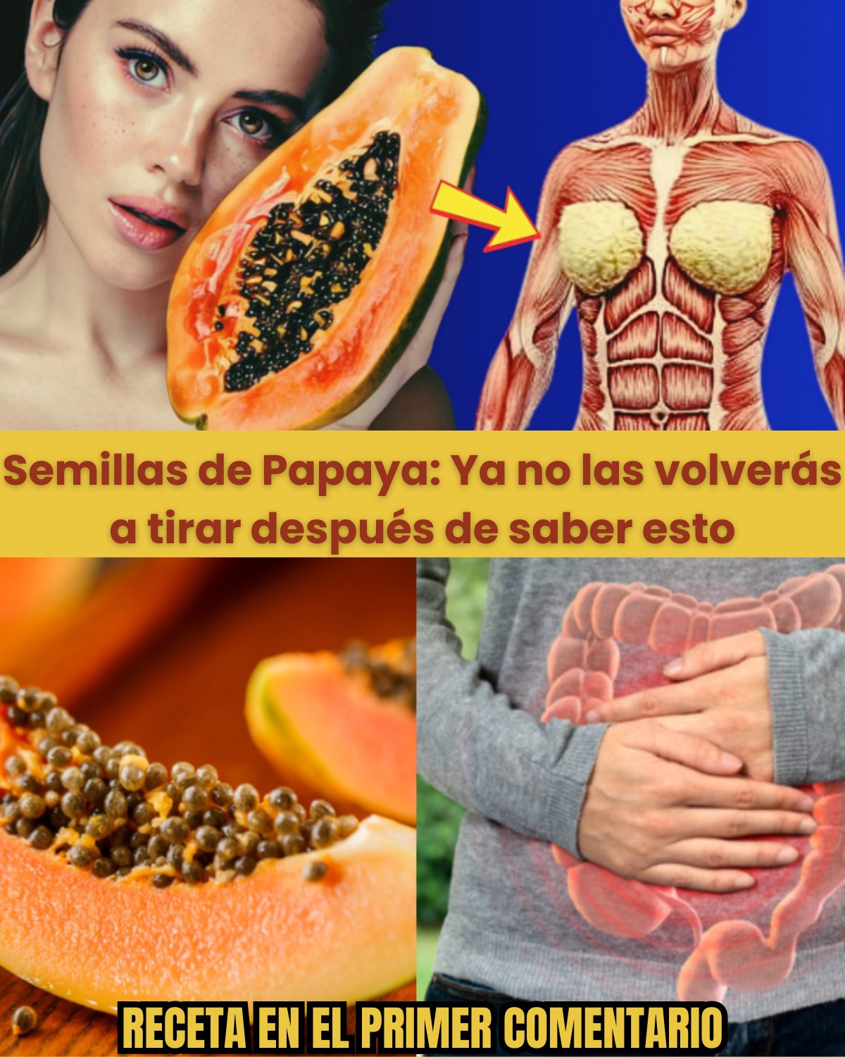 Semillas de Papaya