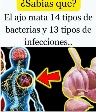 El Poder del Ajo: Un Remedio Natural para Combatir Bacterias e Infecciones