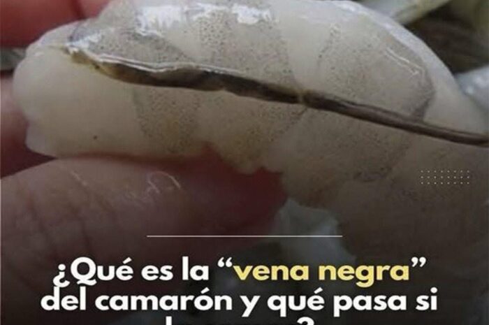 La Vena del Camarón: ¿Es Segura de Comer? Descubre la Verdad