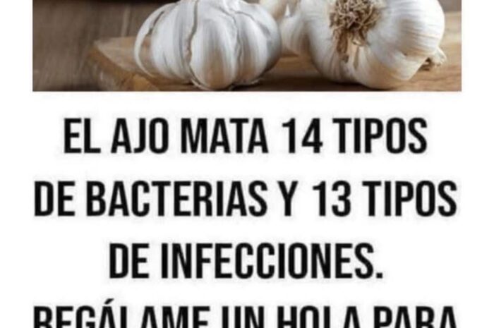 Propiedades Del Ajo: Un Superalimento Para Tu Salud