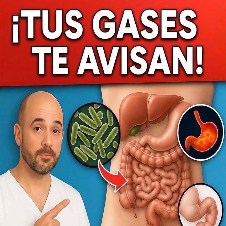 Ilustración del sistema digestivo