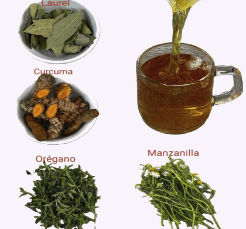Bebidas Naturales que Transforman tu Salud