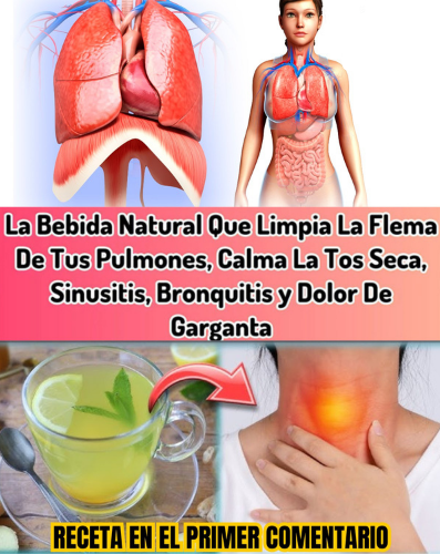 Bebida Natural para la Salud Respiratoria