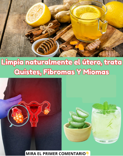 Remedios Naturales para la Salud Uterina