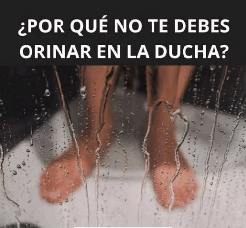 ¿Por Qué No Te Debes Orinar en la Ducha?