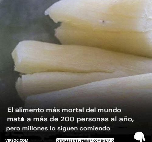 Yuca: Delicia y Peligro – Cómo Prepararla de Forma Segura