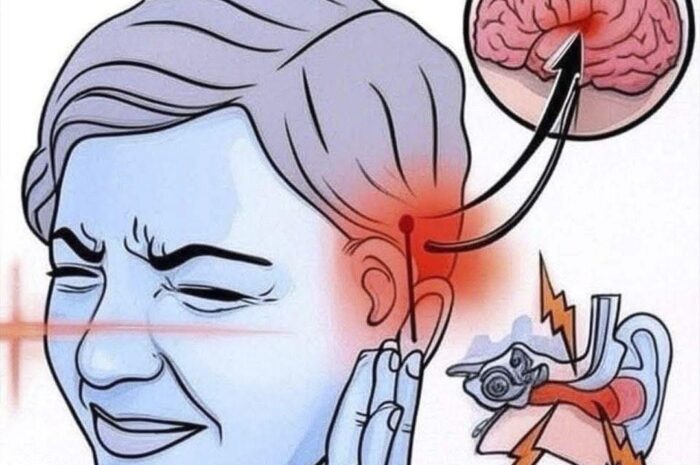 El Zumbido en los Oídos: Remedios Naturales para Aliviar el Dolor y la Inflamación