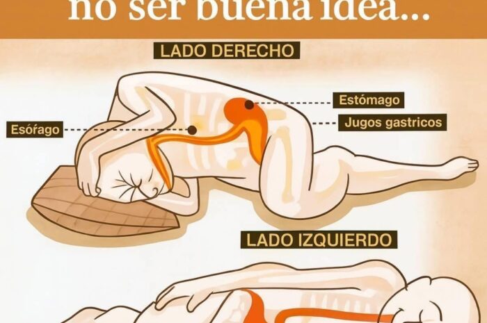 Por Qué Dormir Del Lado Correcto Puede Cambiar Tu Salud Digestiva
