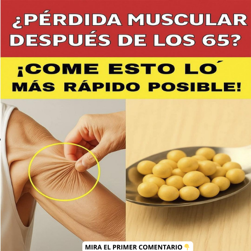 Alimentos para la salud muscular