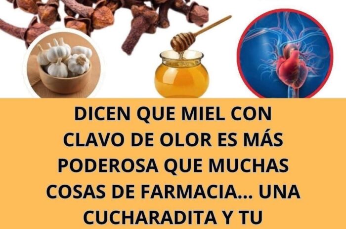 Miel con Clavo de Olor y Ajo: El Remedio Natural Más Potente para Fortalecer tu Cuerpo
