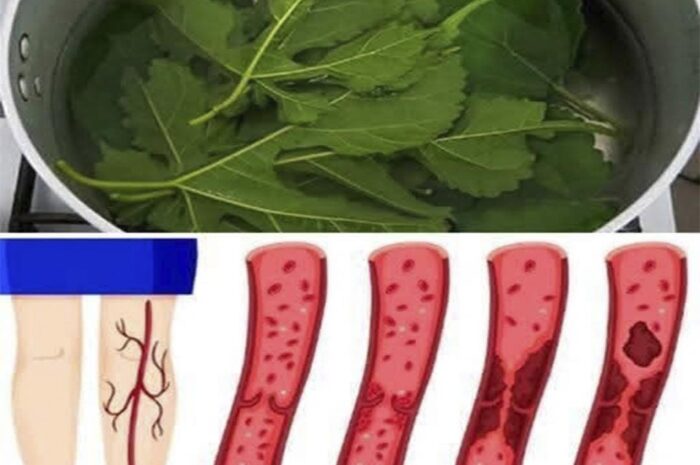 Los Increíbles Beneficios de la Hoja de Papaya para la Salud