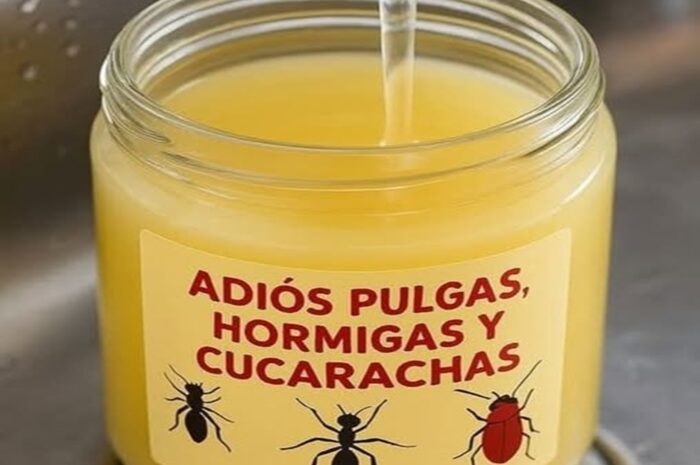 Adiós a los Insectos: Remedios Caseros Efectivos para tu Hogar