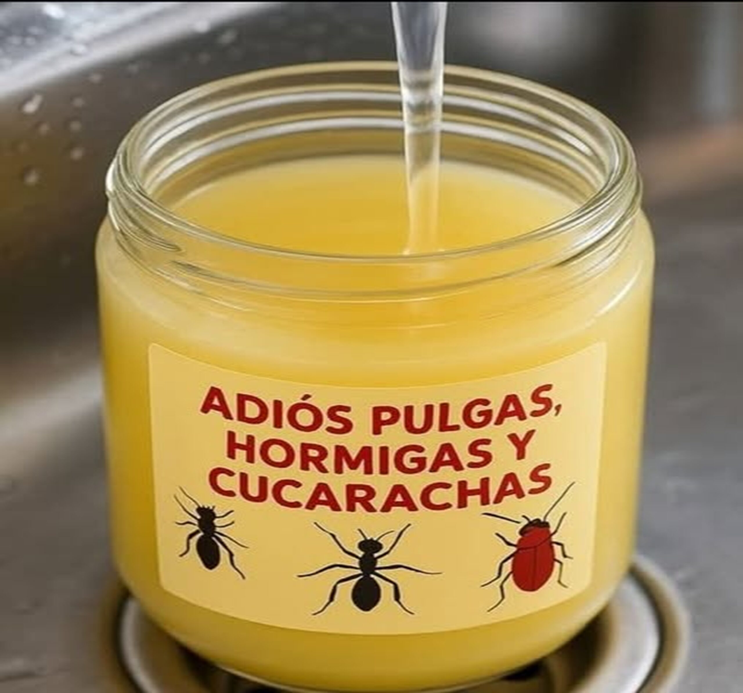 Remedios caseros para insectos
