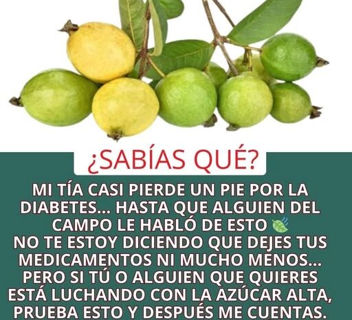 Jarabe Natural de Guayaba para el Control de la Glucosa