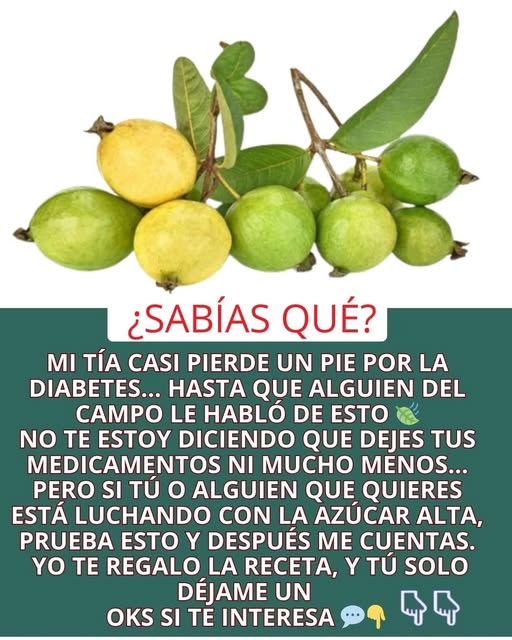 Jarabe Natural de Guayaba