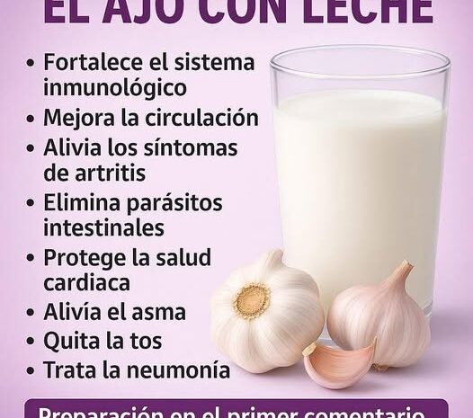 Los Potentes Beneficios de Consumir Ajo con Leche para Tu Salud