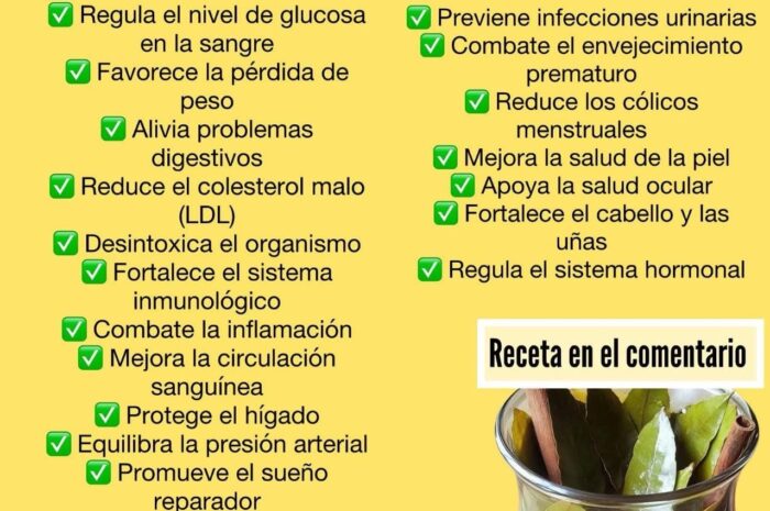 Te Natural de Canela, Laurel y Flor de Jamaica: La Fórmula para tu Bienestar