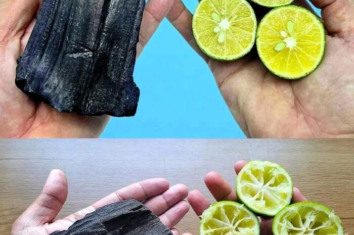 La Sorprendente Combinación de Limón y Carbón para tu Salud