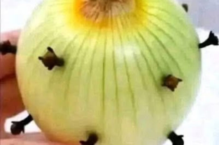 Clavos de Olor en la Cebolla: Un Remedio Casero para la Salud Natural