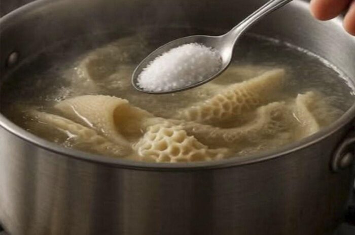 Cómo Hervir Mondongo (Callos) Sin Olor: El Truco Que Necesitabas