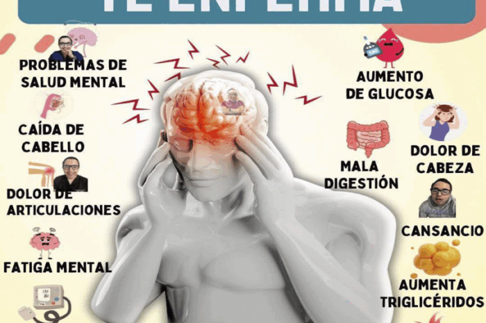 Impacto del Estrés en la Salud: Cómo Combatir sus Efectos con Remedios Naturales
