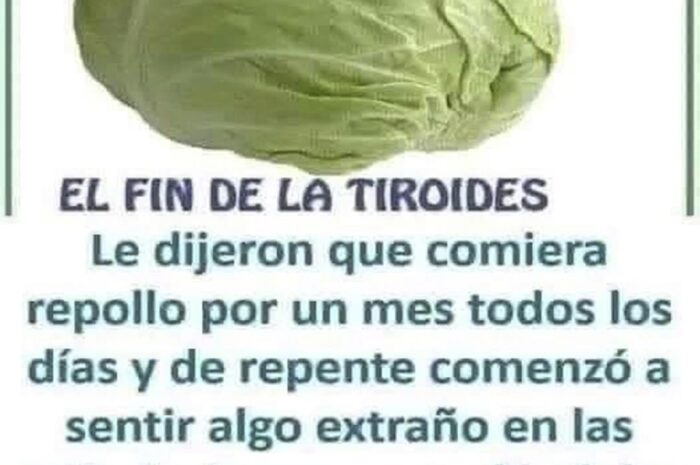 Beneficios del Repollo para la Salud Tiroidea:  Cómo Incluirlo en tu Dieta