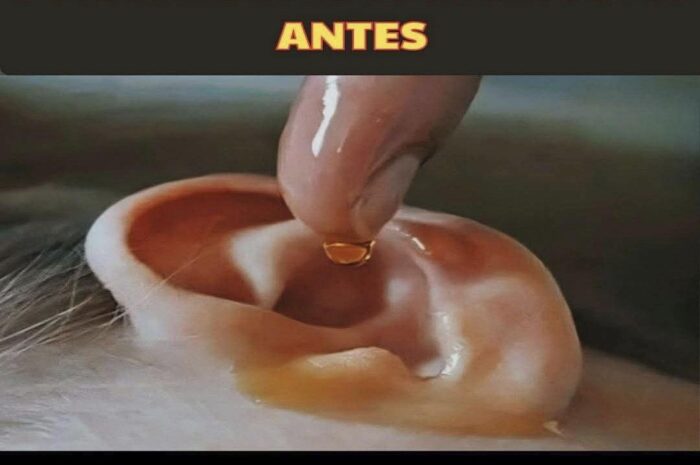 Receta Natural: Mejora Tu Audición con Cuatro Gotas Caseras