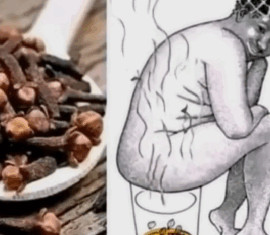 El Poder del Clavo Dulce: Beneficios Esenciales para la Salud de la Mujer