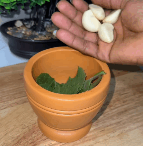 Descubre el Poder del Ajo y Orégano: Solución Natural para Hongos en tu Cuerpo