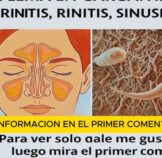 Alivia la flema y el moco