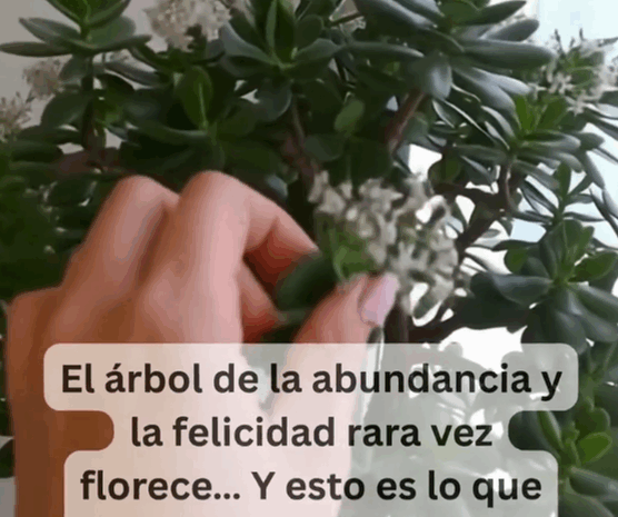 El Árbol de la Abundancia: Salud, Felicidad y Remedies Naturales