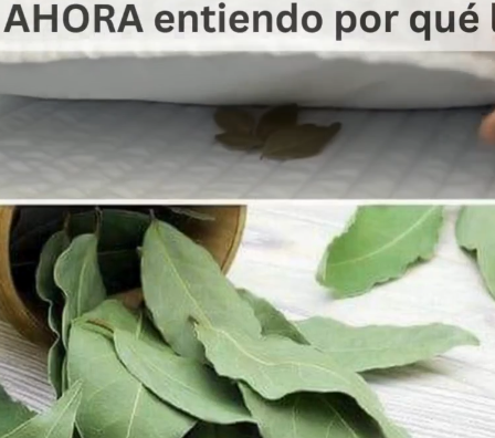 Laurel Debajo de la Almohada: Una Tradición que Deberías Conocer