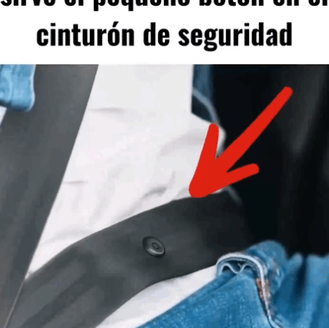 La Importante Función del Botón en el Cinturón de Seguridad