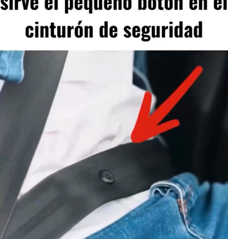 Cinturón de seguridad con botón